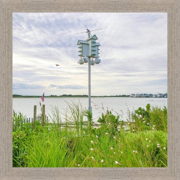 Homeward Bound - Picture 1 of 2